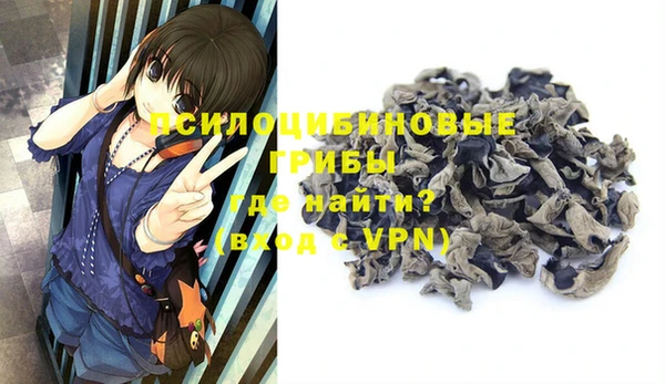 стафф Дрезна