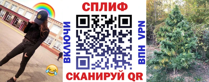 Купить где Избербаш МАРИХУАНА сатива